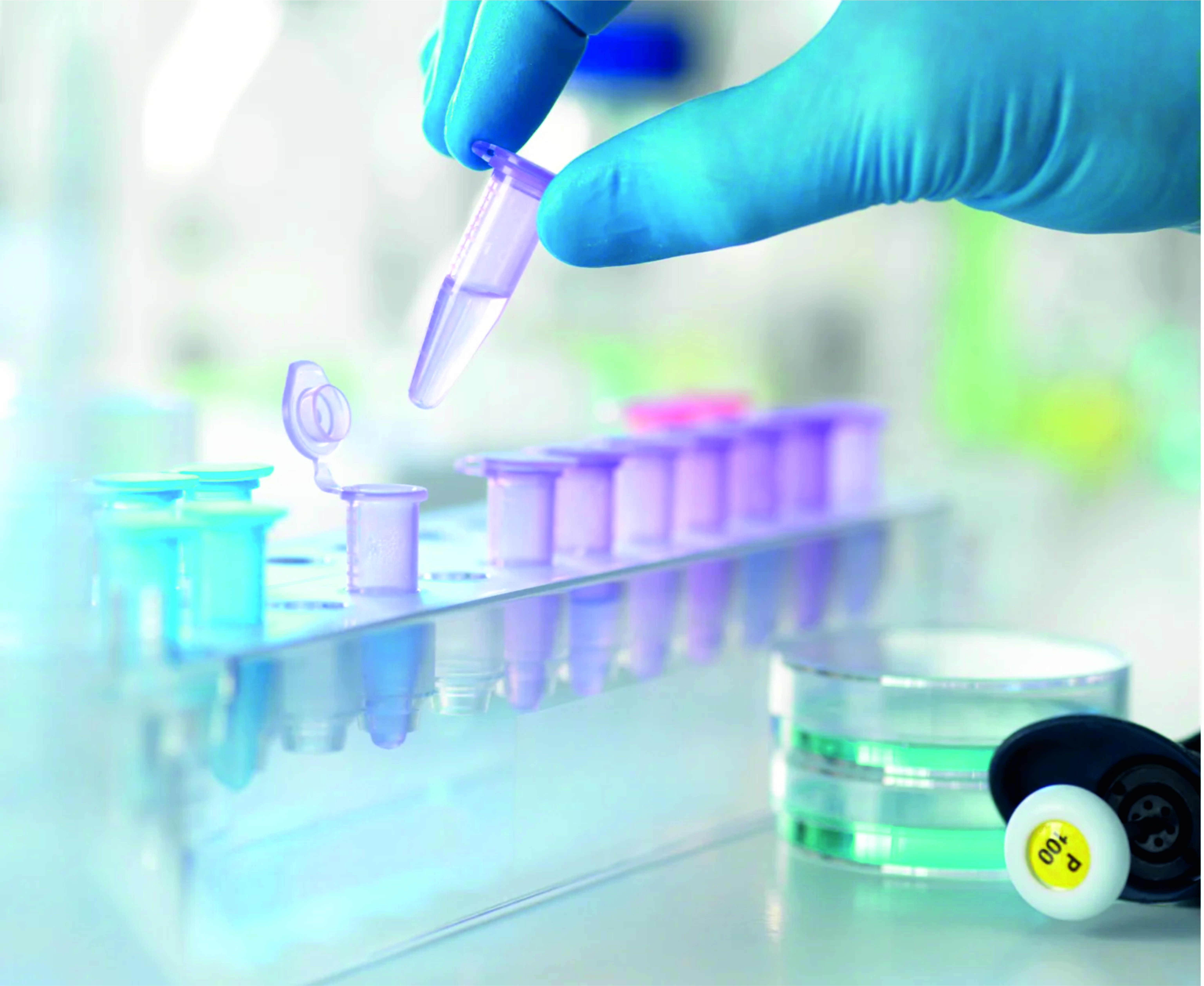 Bet/ Bioassay
